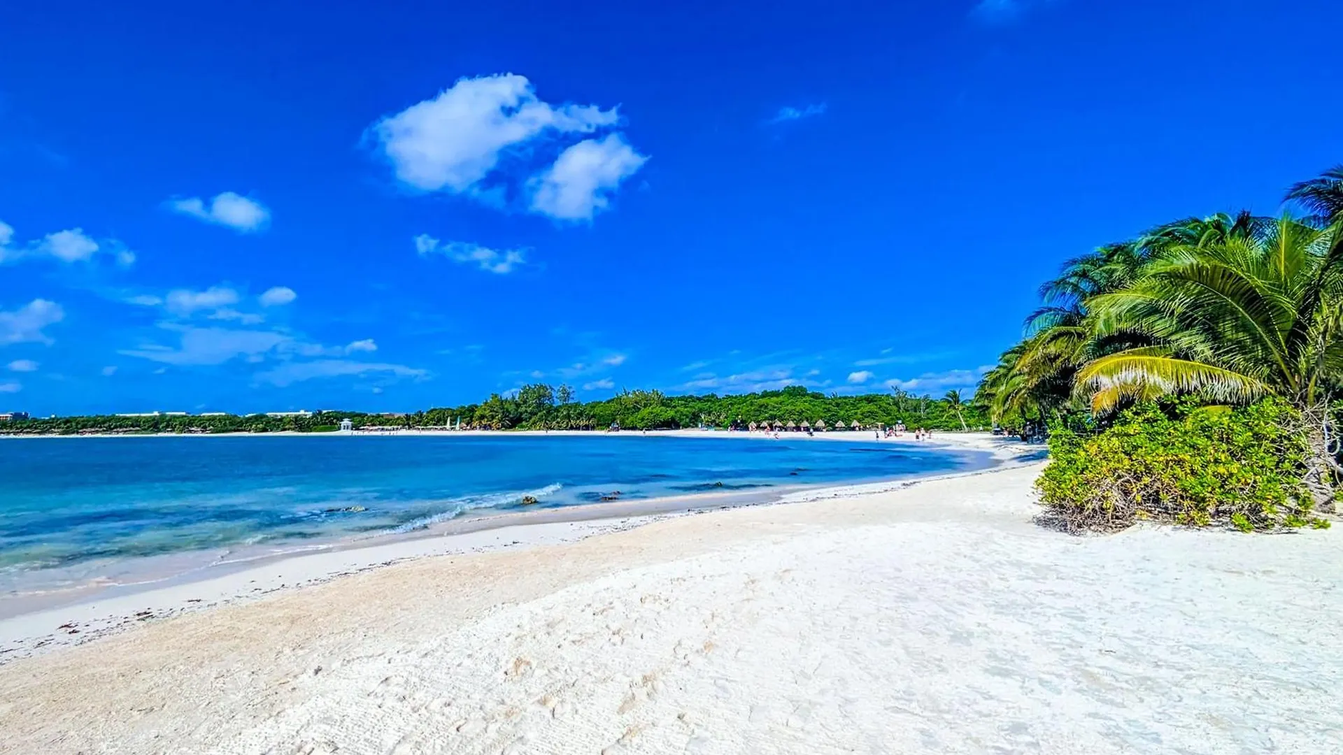 500M To Beach Cenote L Memory Foam King Beds L Kitchen Bikes Ac 7A7B Плая-дель-Кармен 0*,